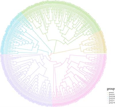 Genome-wide characterization of trichome birefringence-like genes provides insights into fiber yield improvement